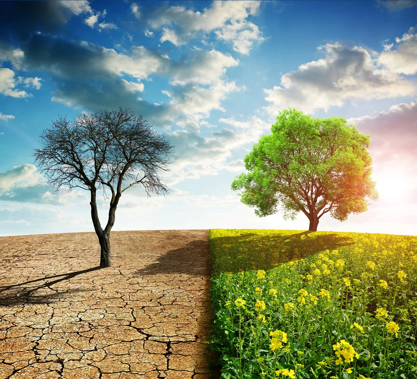 First-Ever National Youth Climate Summit in Lusaka